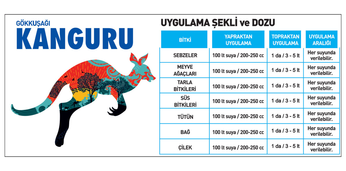 Kanguru