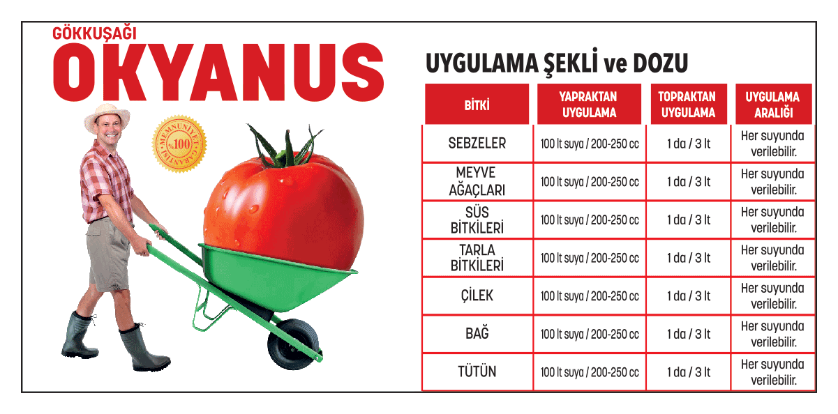 Okyanus