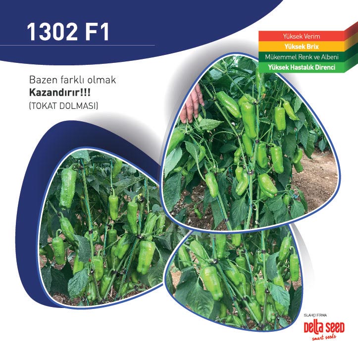 Tokat Dolma 1302 F1