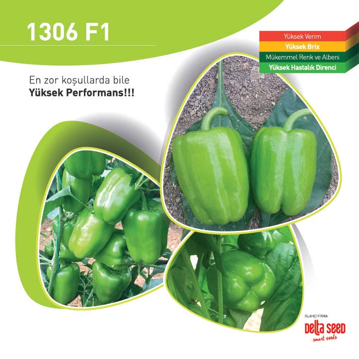 İmza 1306 F1