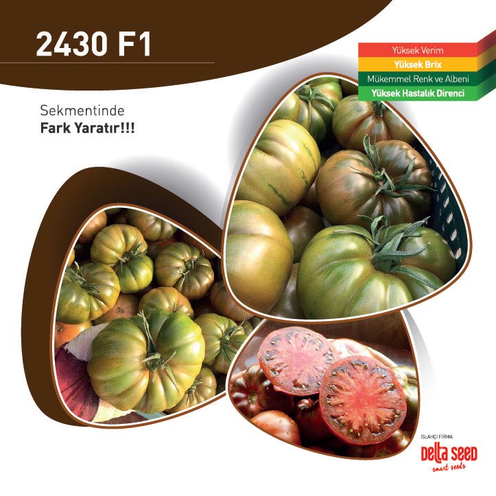 G2430 F1
